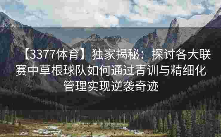 【3377体育】独家揭秘：探讨各大联赛中草根球队如何通过青训与精细化管理实现逆袭奇迹