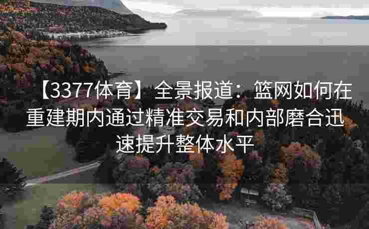 【3377体育】全景报道：篮网如何在重建期内通过精准交易和内部磨合迅速提升整体水平